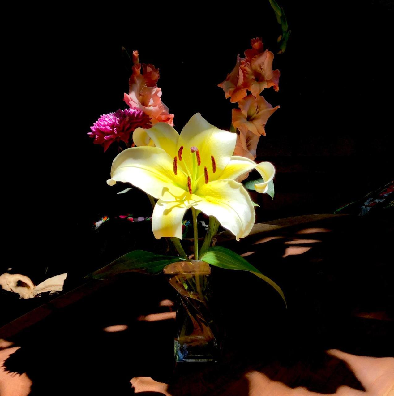 Ananda Guest House Yoga & Meditacion 埃斯孔迪多港 外观 照片